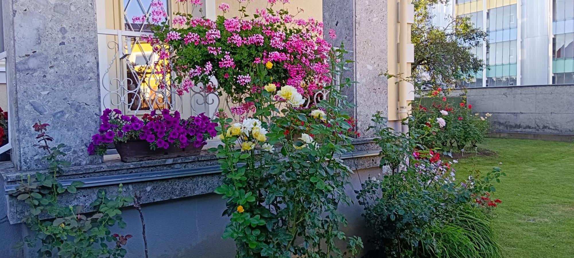 Ring Gaestehaus Homestay Zeltweg